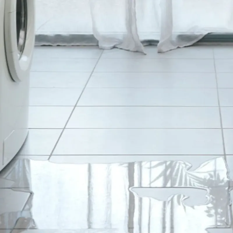 Appliance Leak Cleanup in Dalzell, SC