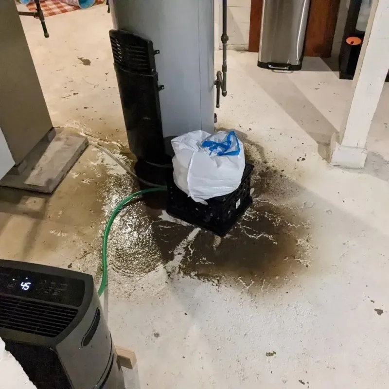 Sewage Backup Cleanup Service in Dalzell, SC